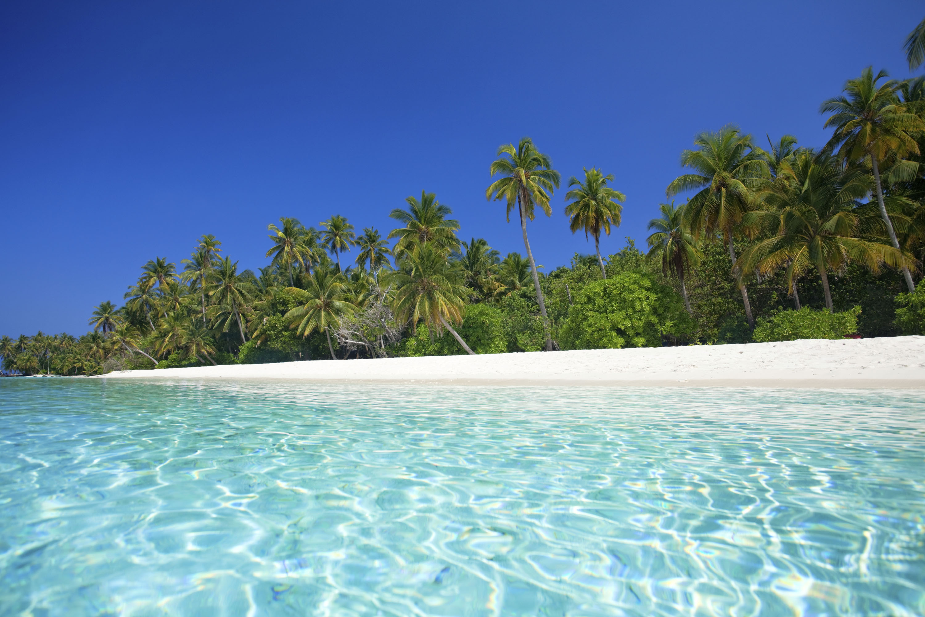 tropical view from turquoise lagoon