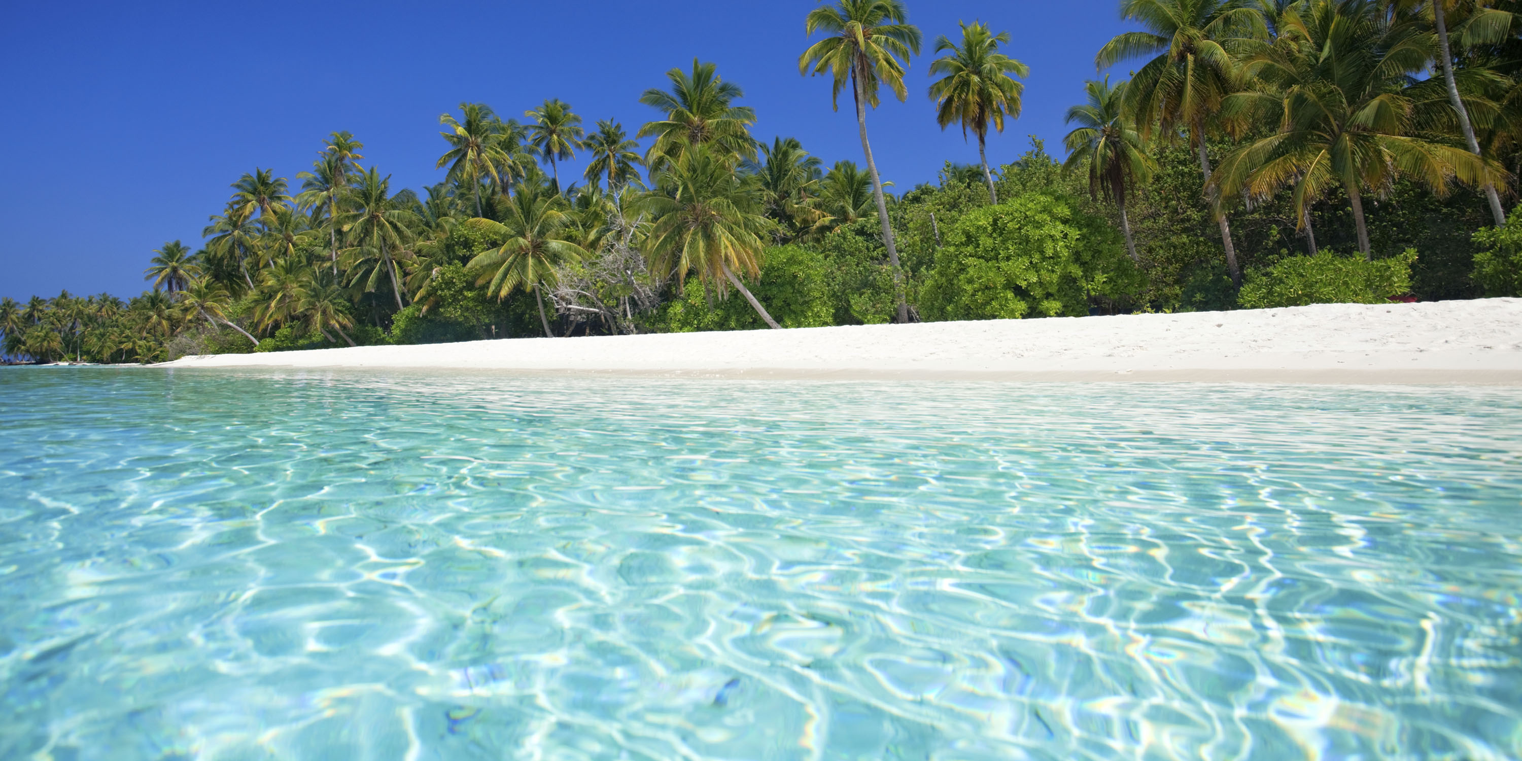 tropical view from turquoise lagoon