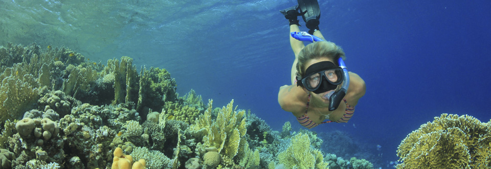 Caribbean Sailing Diving Snorkeling Vacation